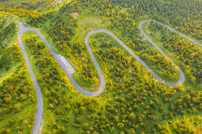 High angle view of yellow road amidst plants