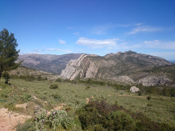 Scenic view of landscape against blue sky