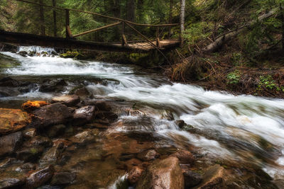 Stream flowing through rocks in forest