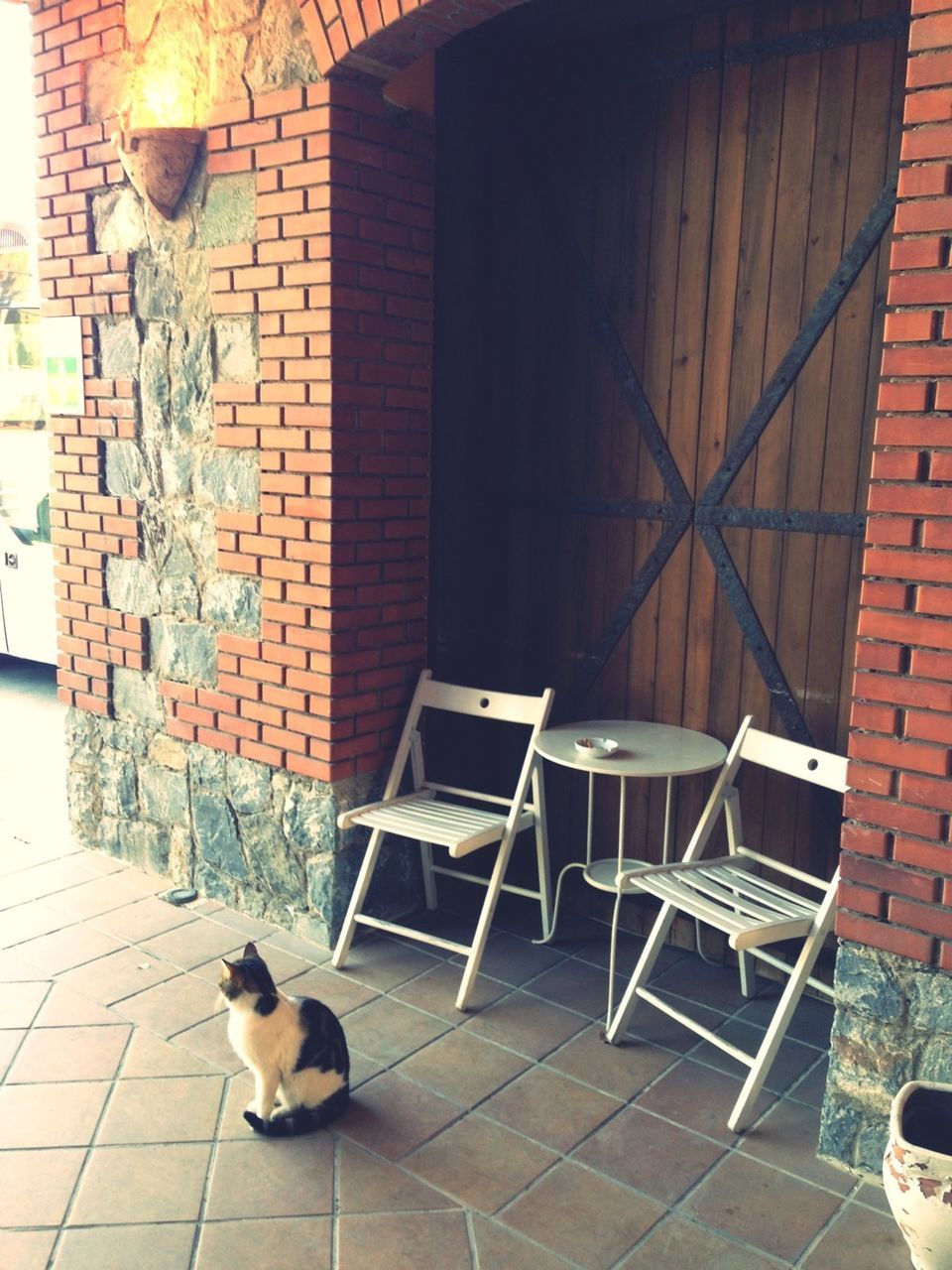 building exterior, architecture, built structure, chair, tiled floor, domestic animals, empty, pets, cobblestone, table, brick wall, animal themes, absence, house, paving stone, sidewalk, mammal, no people, wall - building feature, sunlight