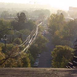 Road in city