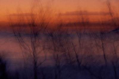 Silhouette bare trees against sky during sunset