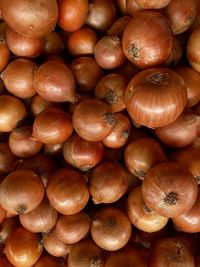 Brown onions at the organic fair in são paulo, brazil