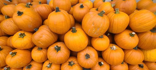 Full frame shot of pumpkins in market