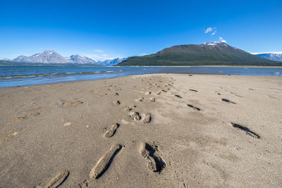 Scenic view of beach against blue sky