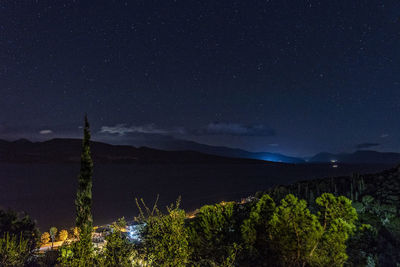 Scenic view of tree against sky at night