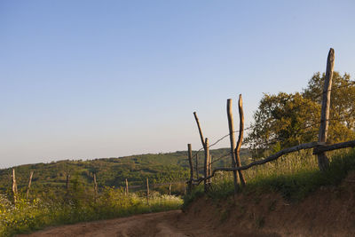 Scenic view of field against clear sky