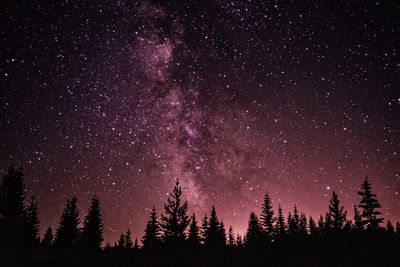 Low angle view of star field against sky