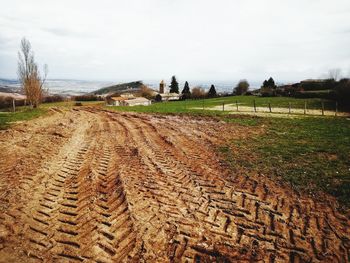 Scenic view of field against sky