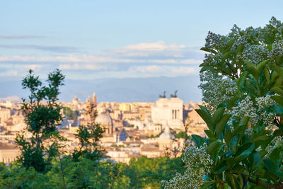 Trees and townscape against sky