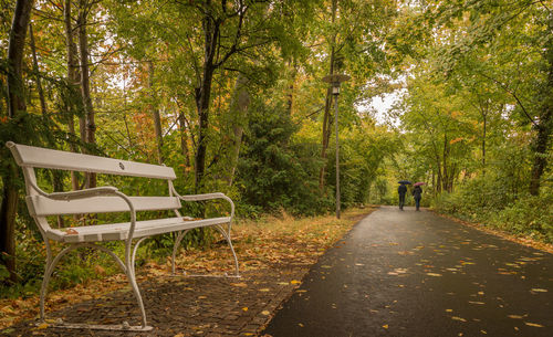 Empty bench in park during autumn