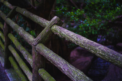 Full frame shot of wooden fence