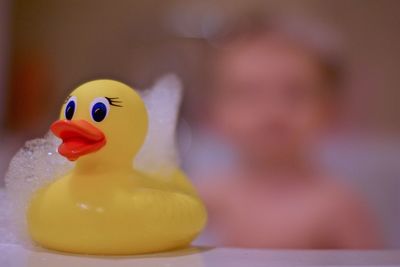 Close-up of rubber duck in bathroom