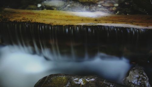 Reflection of trees in water
