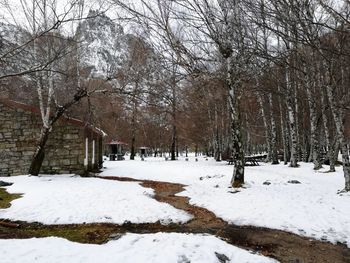 Bare trees on snow covered landscape