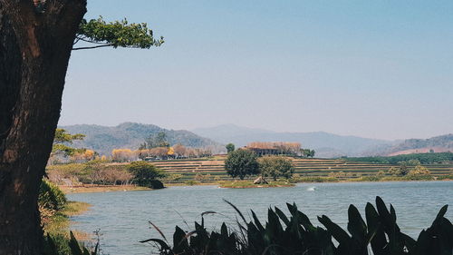 Scenic view of lake against clear sky