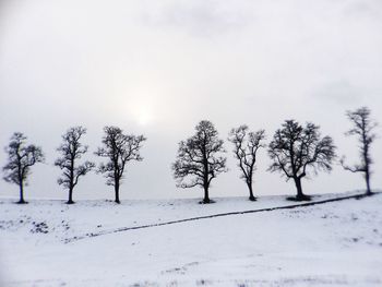 Trees on snow covered field against sky