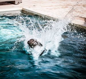 Waves splashing in water