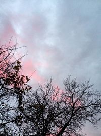 Low angle view of bare tree against cloudy sky