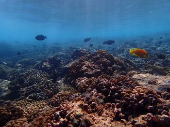 View of sea against sky