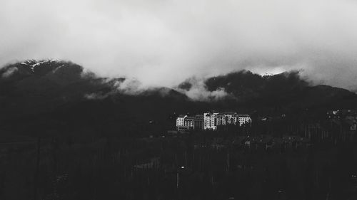 View of trees against sky