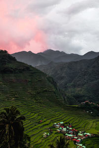 Scenic view of agricultural landscape against sky