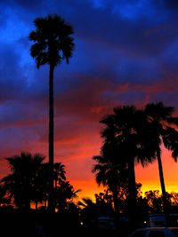 Low angle view of silhouette palm trees against sky during sunset