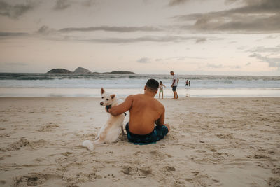 Dog on beach