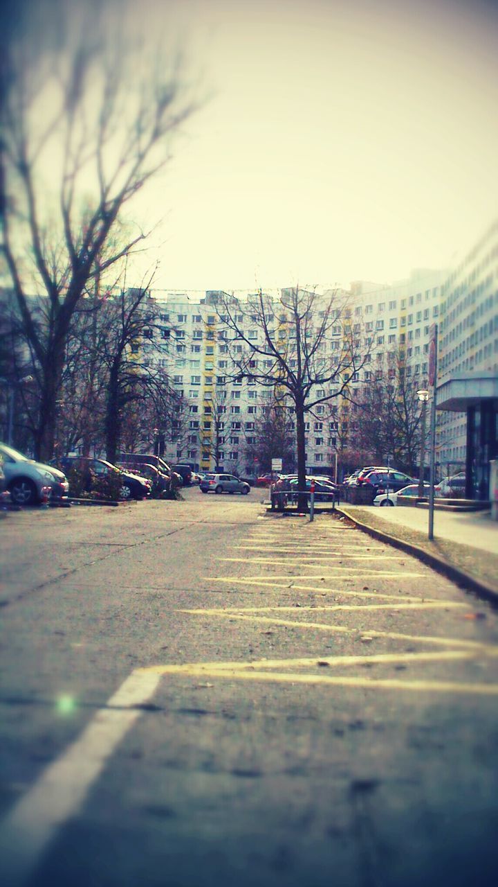 CLOSE-UP OF ROAD AGAINST BARE TREES