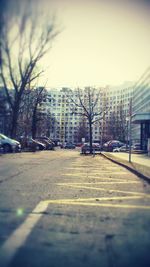 Close-up of bare tree against road in city