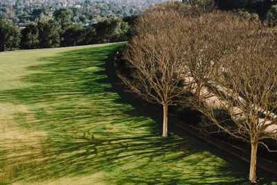 Scenic view of green landscape