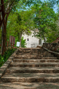 Low angle view of steps amidst trees and plants
