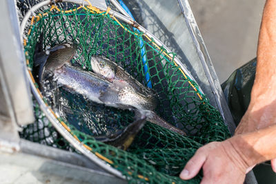 High angle view of man fishing in fish at market