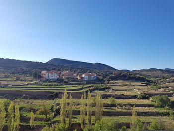 Scenic view of agricultural field against clear blue sky