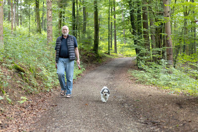 Rear view of man walking in forest