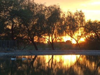 Silhouette trees by lake against sky during sunset