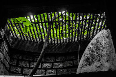 Low angle view of metal railing against trees