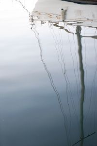 Close-up of plants growing in lake against sky