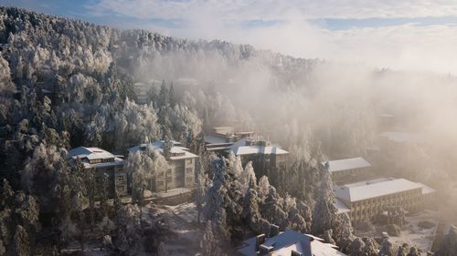 High angle view of houses and trees during winter