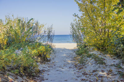 Scenic view of sea against clear sky