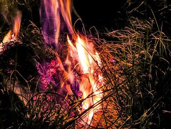 Close-up of illuminated fire at night