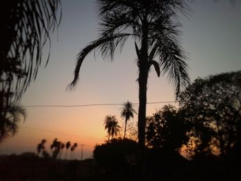 Silhouette trees against sky during sunset