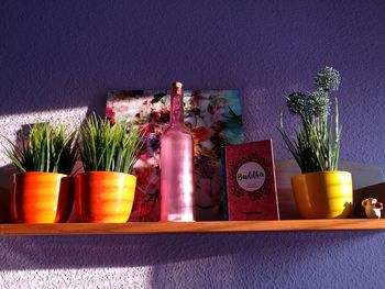 Potted plants in shelf