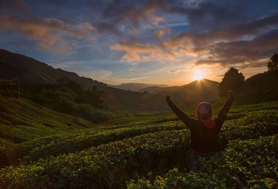 Scenic view of agricultural field against sky during sunset