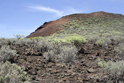 Scenic view of arid landscape against sky