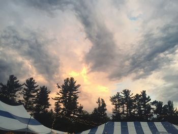 Low angle view of trees against sky at sunset