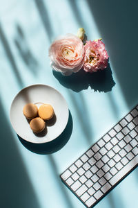 Workplace at home by the window. flat lat macaroons in sunlight, flowers and keyboard.