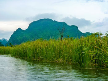 Scenic view of land against sky