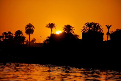 Silhouette of trees at sunset