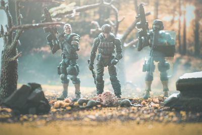 armed forces